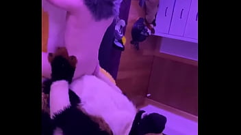 Fursuit Threesome