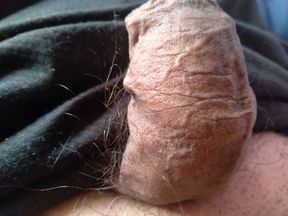 Gay dick wants  to be your sex toy