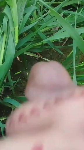 Social Experiment XXX: Random Guy Licks My Pussy Outdoors