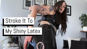 Stroke It To My Shiny Latex