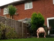Arse spread nude in garden swinging extreme ball weights