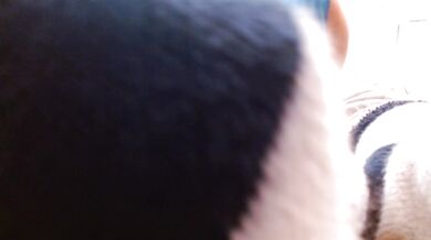 1376 I made Mason smell my sweaty socks because he was being rude to his elders