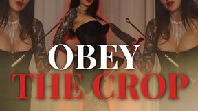 Obey the Crop