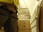 Pee in a toilet on the airplane.