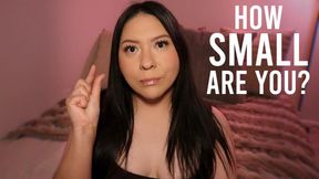 How Small Are You?