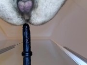Two dildos mirrored to milk my cum off in a cascade