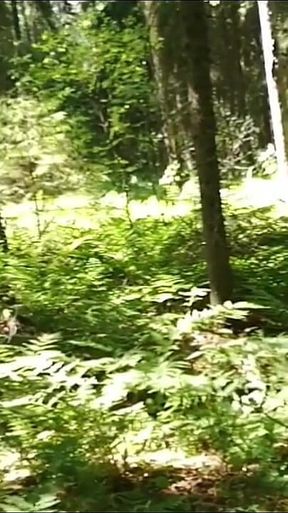 Chubbby Adventurer Forest Trips Over the Years