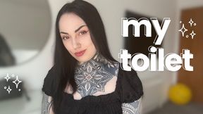 My Personal Toilet