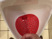Eddie De Luca Mall Bathroom Jerking