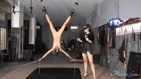 Gina Gerson gets a boner up her butt
