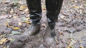 Boots and a forest road