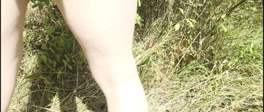 Mesmeriza Forest Walk