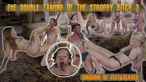 The double taming of the stroppy bitch 3 (HD 720p MP4)