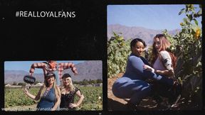 a day at the orchard