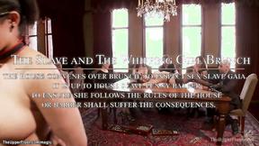 ”Busty Oriental & brunette fuck at party”