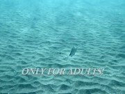 Tenerife underwater swimming with hot girls