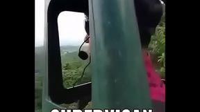 La rosa de guadalupe