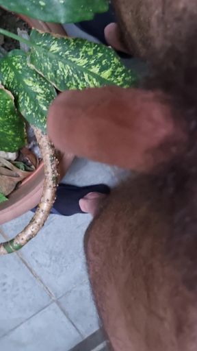 Naughty bear trimming his fur with scissors