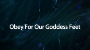 Obey for our Goddess Feet