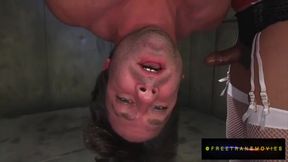 Exotic Porn Scene Shemale Shemale Fucks Guy Great Exclusive Version