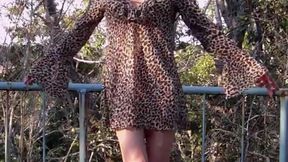 Hunt a Naughty Leopardess in the Woods