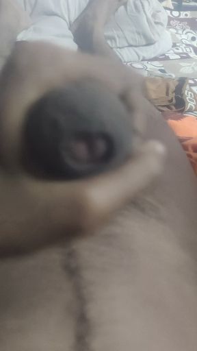 Aunty's Pussy Became Wet After Seeing My Penis.