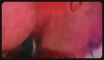 Gay Threesome: White Guy's Blowjob Delight