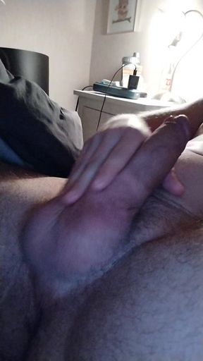 Plump cock