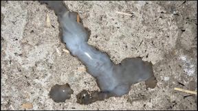 Sexy Big Black Dick, Sexy Boy