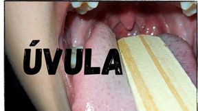 Close up ÚVULA