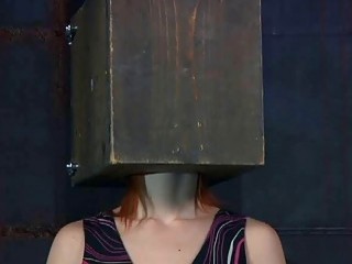 Calico loves having things on her crazy head BDSM porn