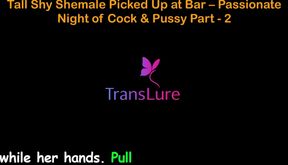 English Audio Sex Story - Tall Shy Shemale Picked up at Bar - Passionate Night of Cock & Pussy - Part 2