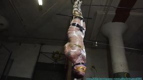 Hanging Upside Down