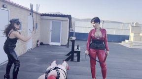 400 lashes for the restrained sissy bitch