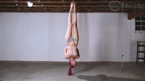 Daisy's Gauntlet Part 2