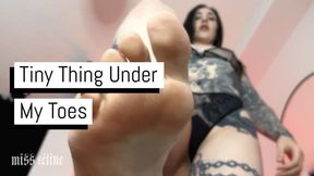 Tiny Thing Under My Toes | Giantess Worship