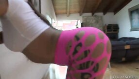 The charming Latina teen Jynx Maze is erotically shaking big butt wrapped in pink pantyhose