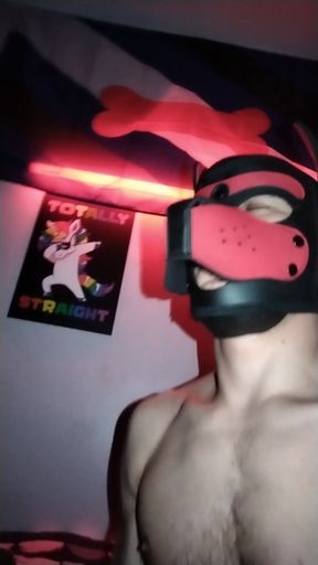 Pup neiko sits on his bone and jerks off