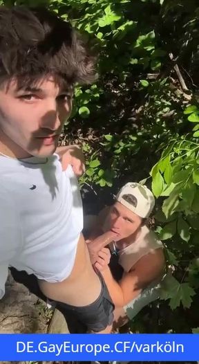 A guy from Cologne gives his cock to suck in the park