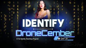 Day 20: Drone Signature