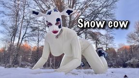 Snow cow in latex