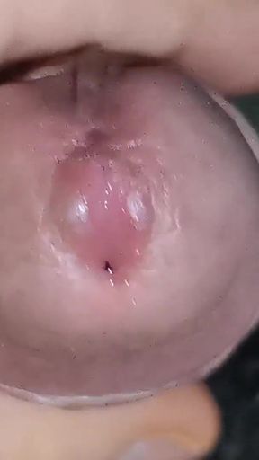 Emotional moment from "I got lost in the Amazon jungle"