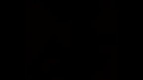 Xvideos eh merda eh isto tiago