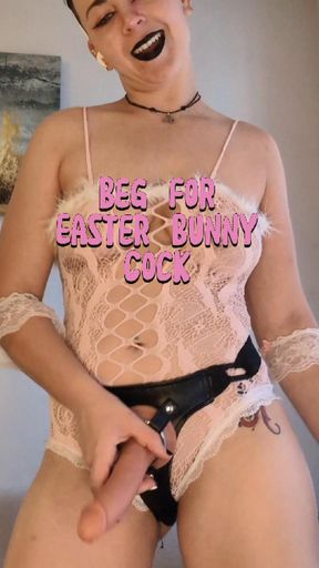 Beg For The Easter Bunny's Cock