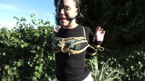 Intense Bondage Walk Training Lesson for Roxy - Part 2 wmv SD