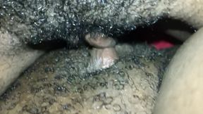 Ebony Lesbians Tribbing