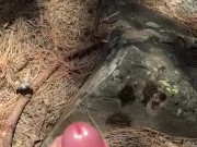 Public wank in Forrest with cum