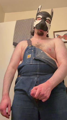 Oliver Pups in Alaska