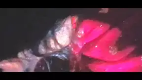 Desi Devar Aur Bhabhi Ke Chudai Ki Video Bhabhi Ke Sath Mein Mast Se Chudai Kiya