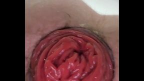 Gaping and Rosebud